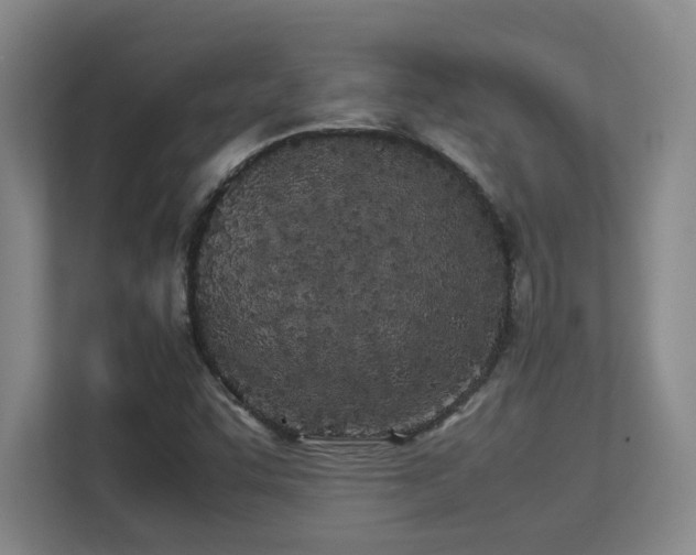 X0000113211455200909101122