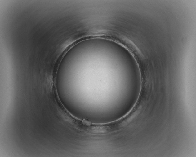 X0000113211457200909101122