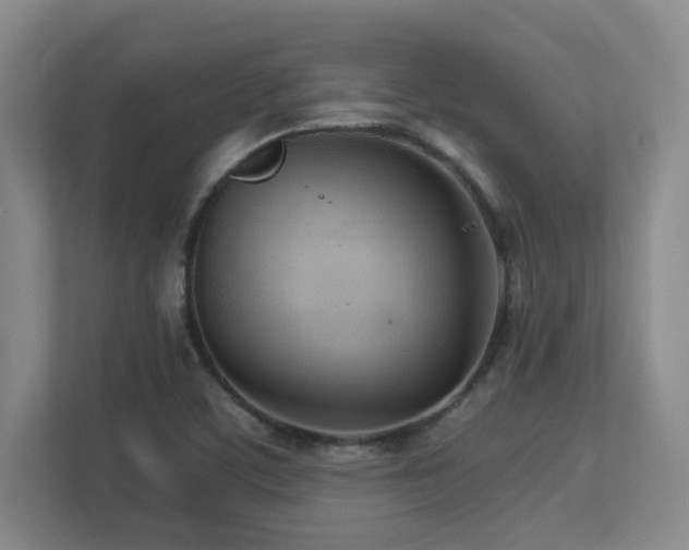 X0000113211459200909101122