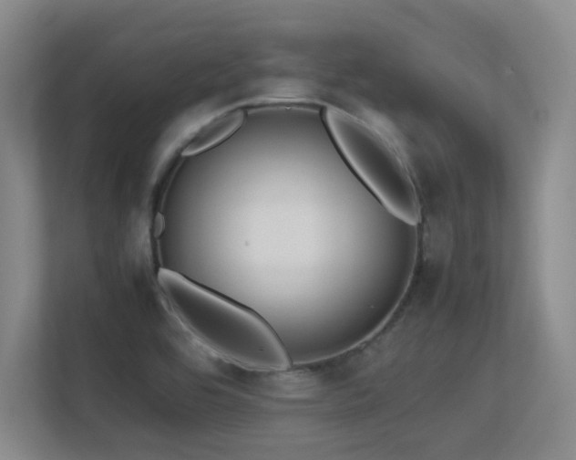 X0000113211464200909101122