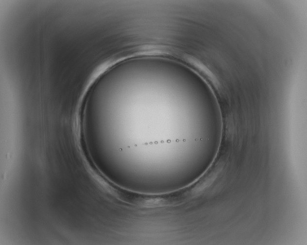 X0000113211467200909101122