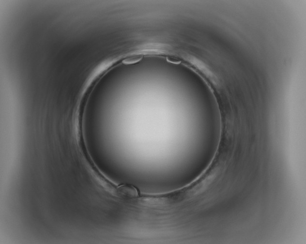 X0000113211469200909101122