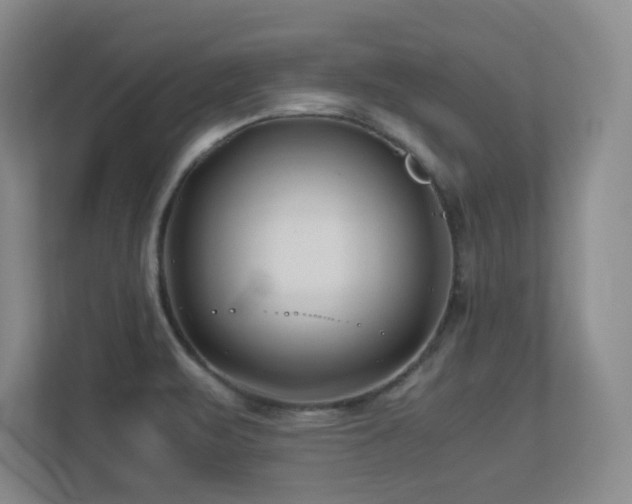 X0000113211471200909101122