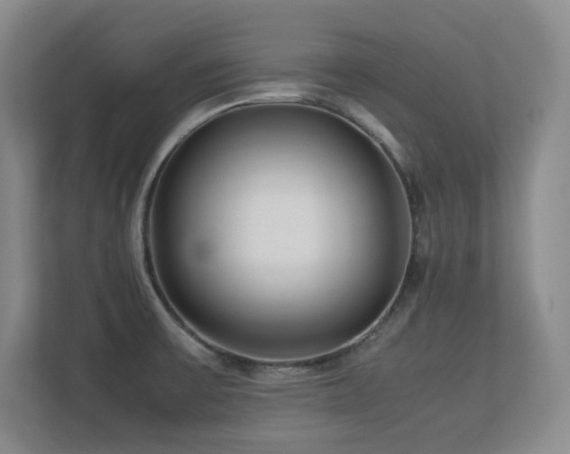 X0000113211475200909101122