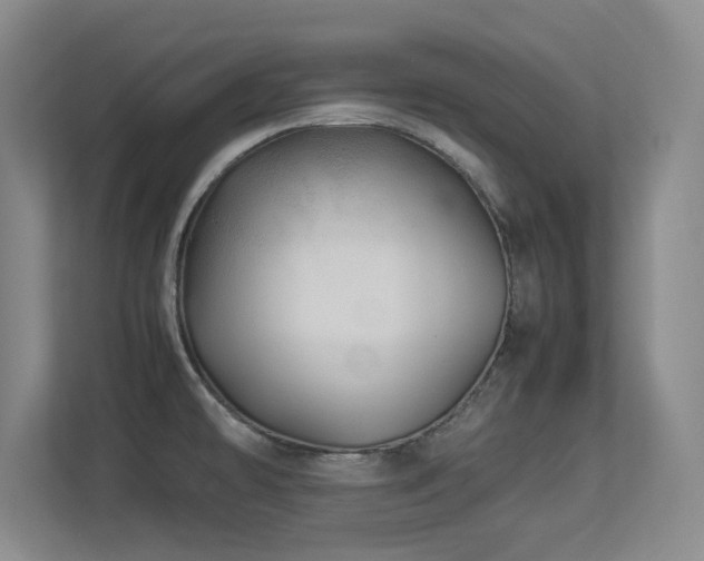 X0000113211478200909101122