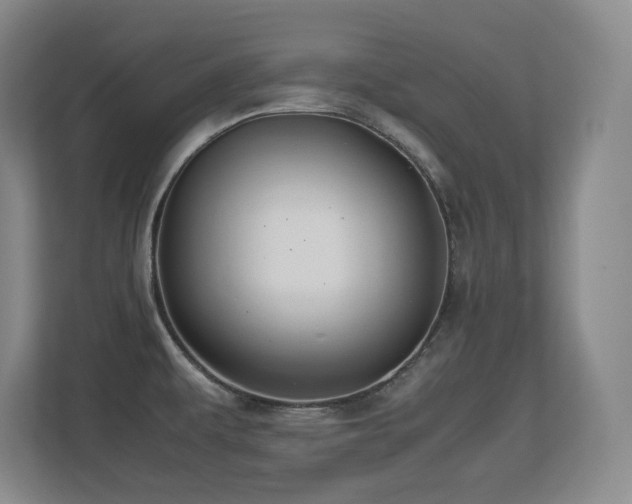 X0000113211479200909101122