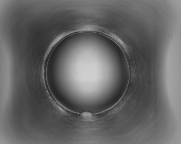 X0000113211480200909101122