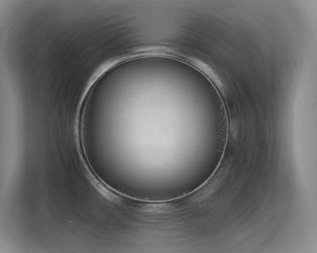 X0000113211482200909101122