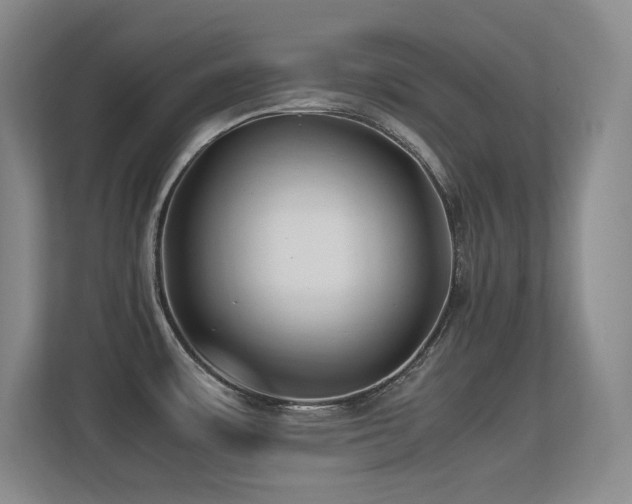 X0000113211483200909101122