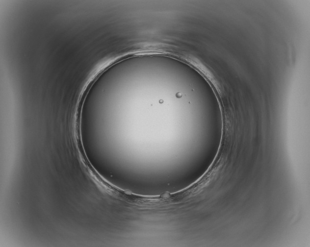 X0000113211485200909101122