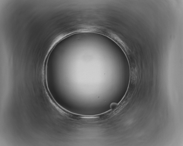 X0000113211487200909101122