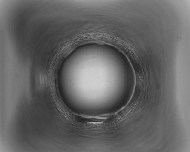 X0000113211489200909101121