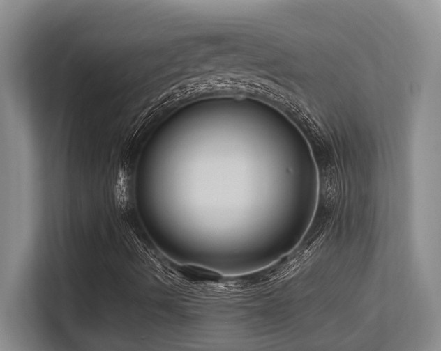 X0000113211490200909101121
