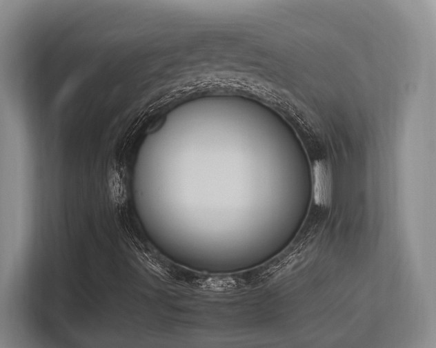 X0000113211491200909101121