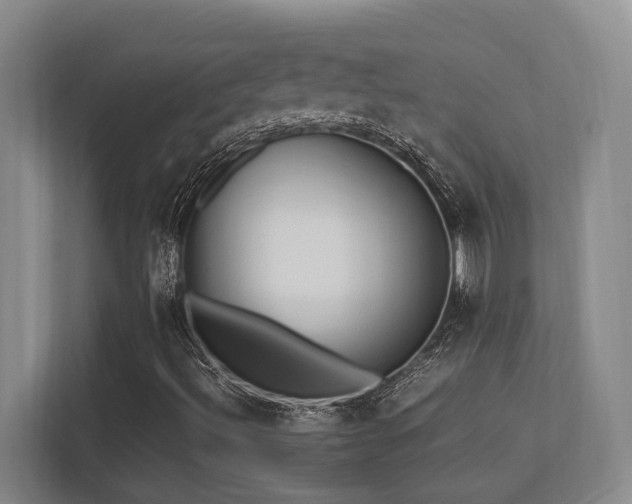 X0000113211492200909101121