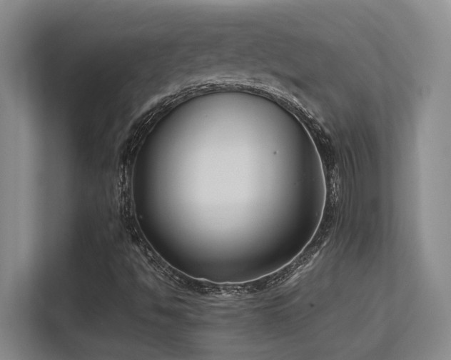 X0000113211494200909101121