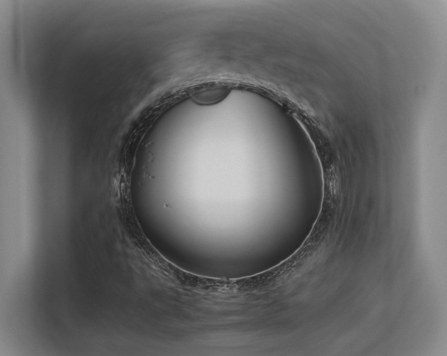X0000113211495200909101121
