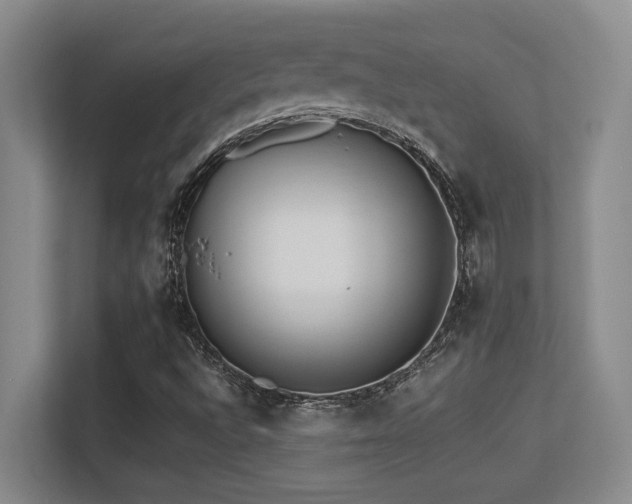 X0000113211496200909101121