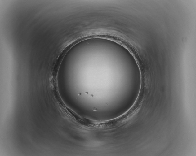X0000113211497200909101121