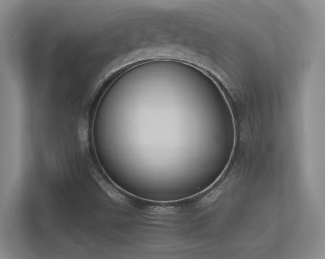 X0000113211499200909101121