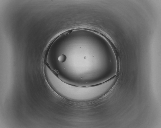 X0000113211500200909101121