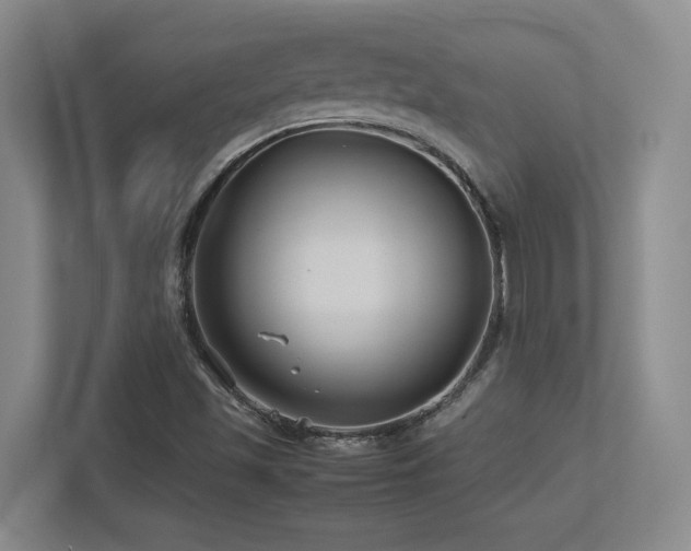 X0000113211501200909101121