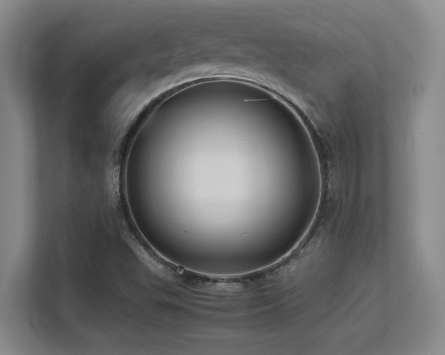 X0000113211503200909101121