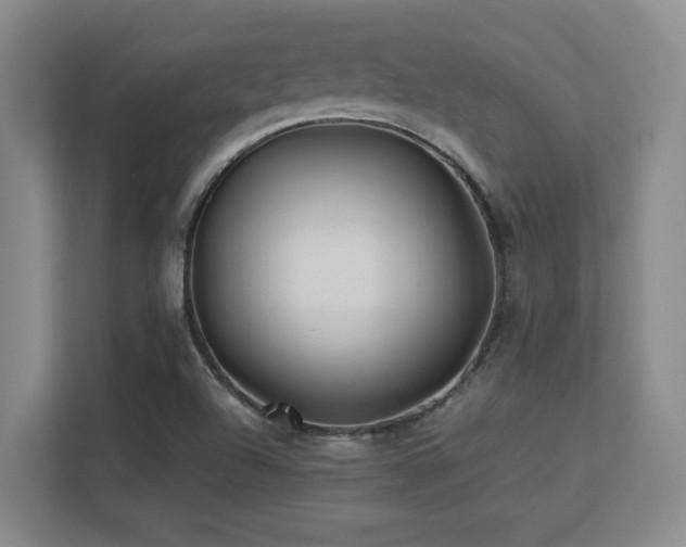 X0000113211504200909101121