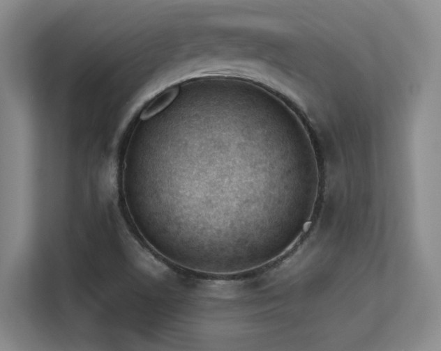X0000113211506200909101121