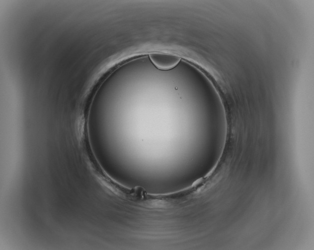 X0000113211507200909101121