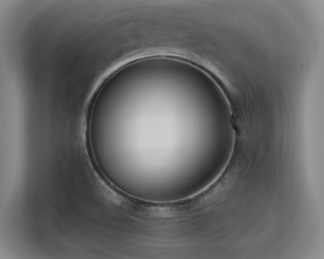 X0000113211508200909101121