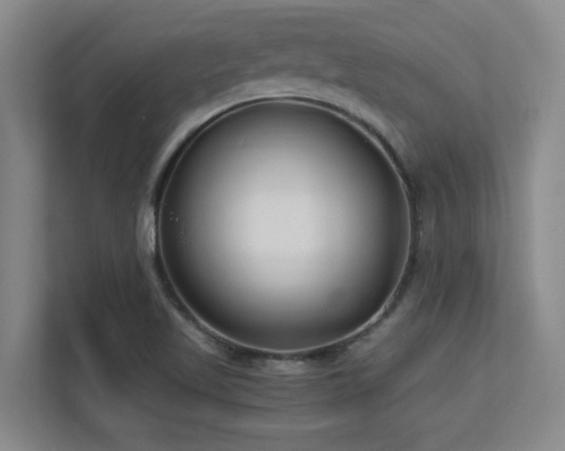 X0000113211509200909101121
