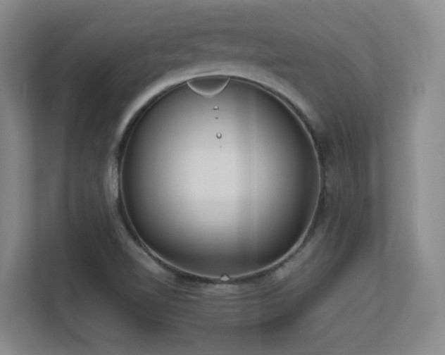 X0000113211510200909101121