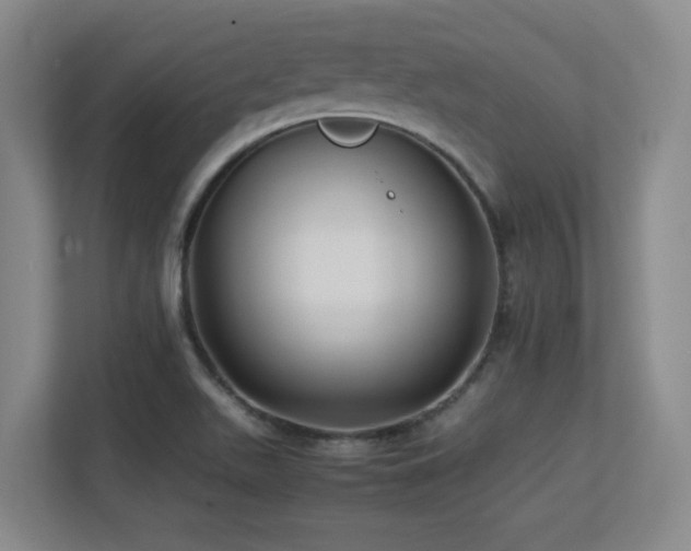 X0000113211511200909101121