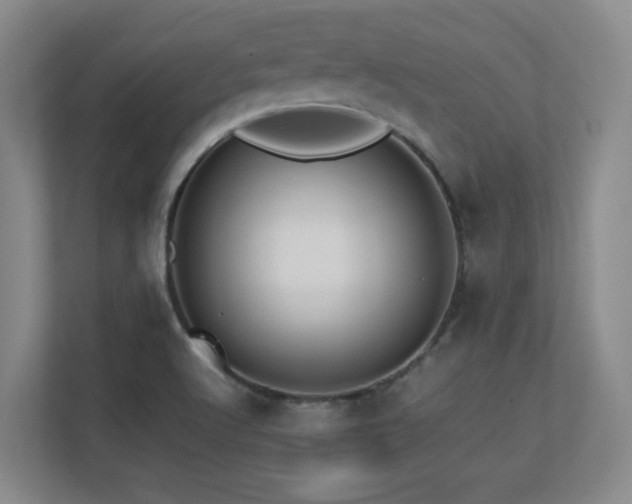 X0000113211512200909101121