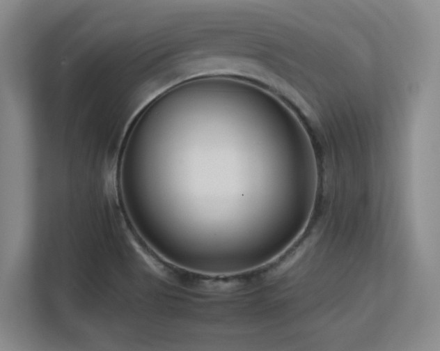X0000113211513200909101121