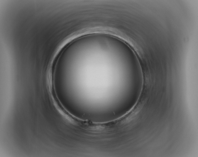 X0000113211515200909101121