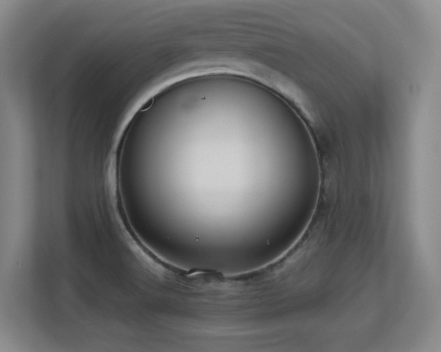 X0000113211516200909101121