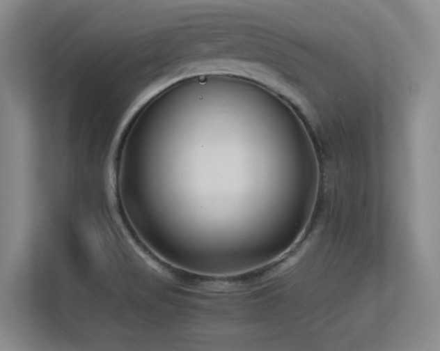 X0000113211517200909101121