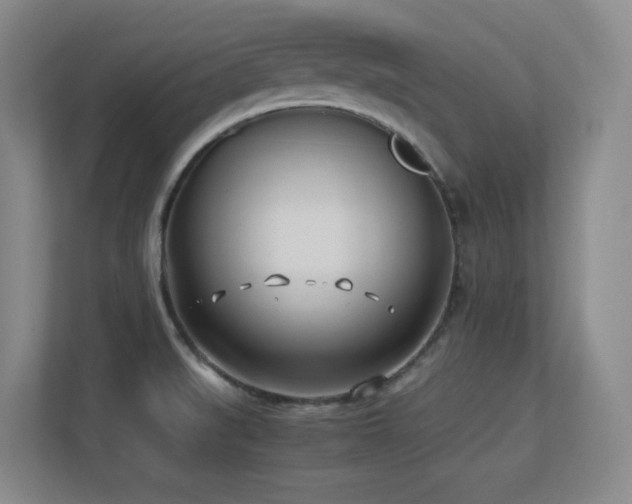 X0000113211519200909101121