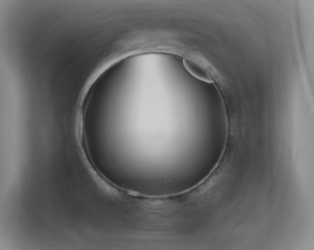 X0000113211520200909101122