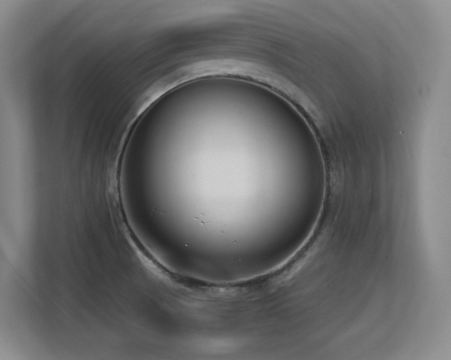 X0000113211521200909101122