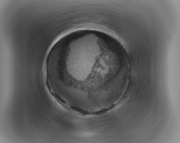 X0000113211522200909101122