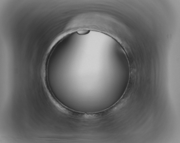 X0000113211523200909101122