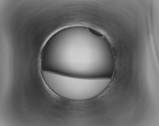 X0000113211524200909101122