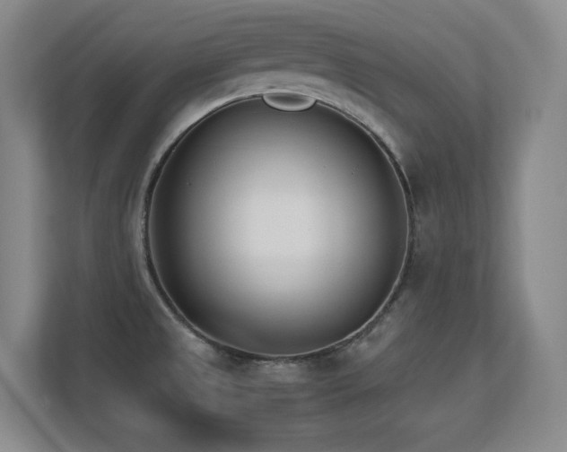 X0000113211525200909101122