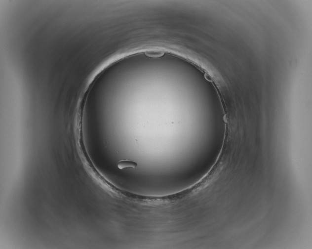X0000113211526200909101122