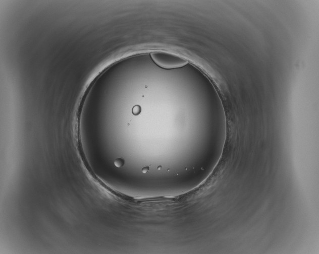 X0000113211527200909101122