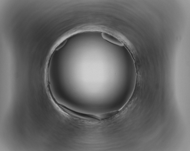 X0000113211528200909101122