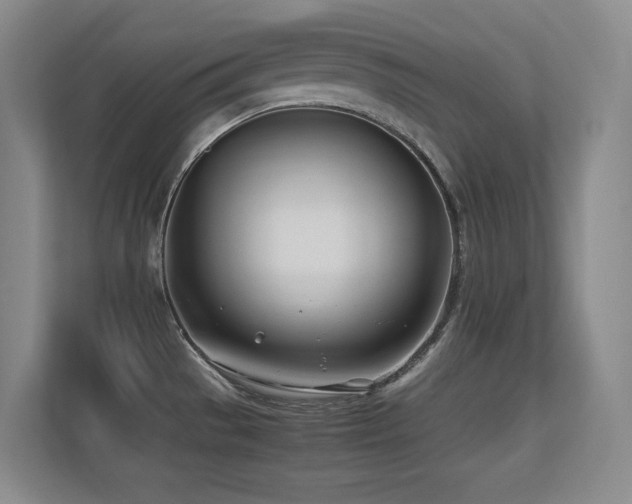 X0000113211529200909101122